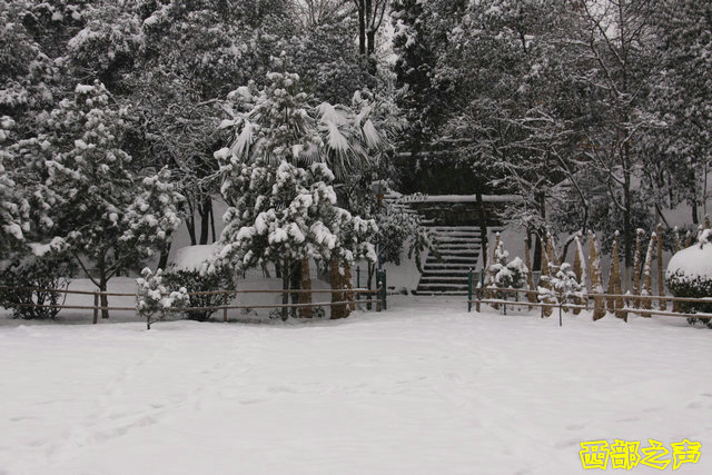 西部之声 高清图片 宝鸡炎帝园雪景 2012年第一场雪  宝鸡雪景   
